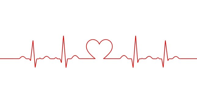 A thin line art ECG heartbeat line runs across the frame in minimalist monochrome style on plain background symbolizing cardiac health