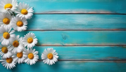 Obraz premium daisy flowers on light blue shabby wooden background for mockup painted teal old rustic wooden table with daisies top view flat lay abstract texture with copy space for banner mockup poster
