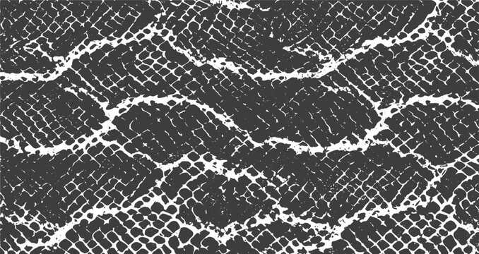 Realistic Snake Scale Texture, Distressed Grunge Pattern with Rough Surface on White Background.