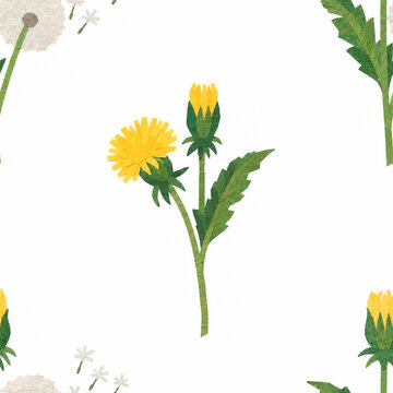 Seamless pattern with dandelion flowers. Print for fabrics, clothes, packaging etc