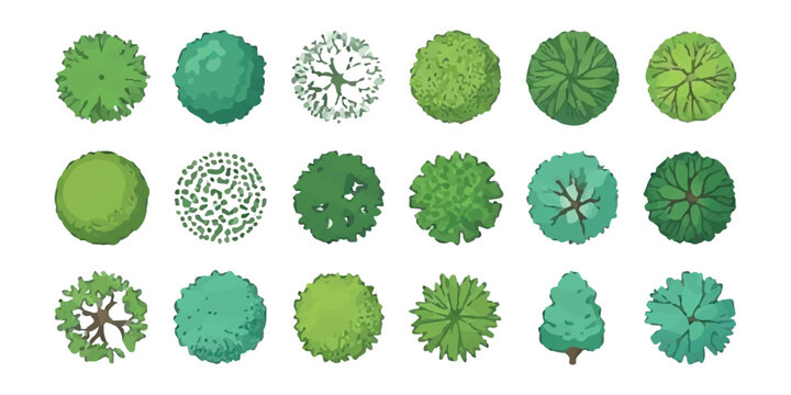 Set of top view tree icons for landscape design architectural site plans