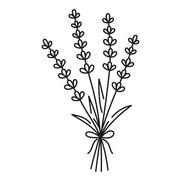 lavender bouquet one line art drawing