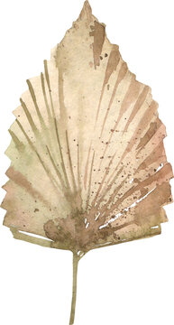 Watercolor dried palm leaf botanical boho foliage illustration