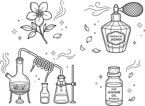 Jasmine Essential Oil Extraction Distillation and Perfume Bottle Line Art Vector Set