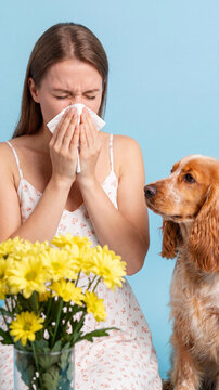 A young Caucasian woman wipes her runny nose with a tissue next to a cute golden dog and yellow flowers on a blue background, illustrating animal dander and seasonal pollen allergy.
