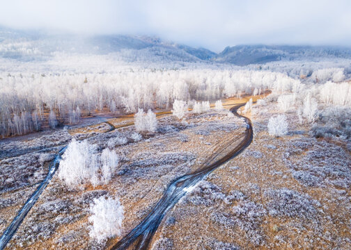 White frost-covered trees in winter forest at foggy sunrise. Aerial view. Clouds over the mountains and forest.