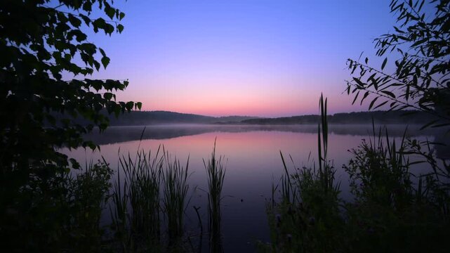Misty lake at dawn with reeds and pastel sky
