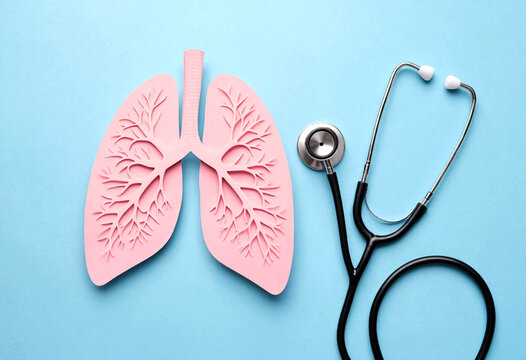 Artistic representation of human lungs and a stethoscope symbolizing respiratory health and medical care on a pastel blue background