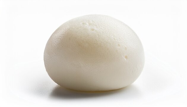 a single rasgulla white spongy cheese ball moist texture isolated