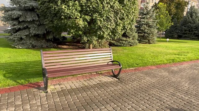 bench in the park