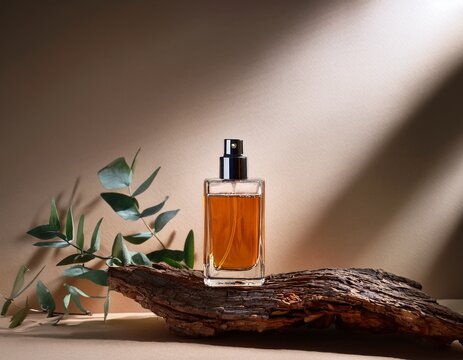 perfume bottle on a piece of dry wood with shadows and leaves perfume sprayer mock up spray bottle minimalistic design lifestyle background