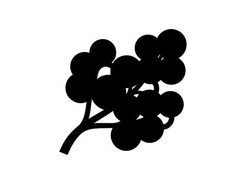 Black silhouette icon of a berry cluster branch graphic element, vector illustration isolated on white background for design