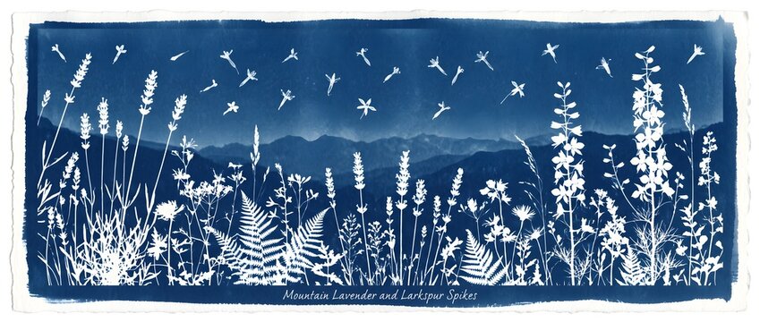 Panoramic Cyanotype Print Featuring Mountain Lavender, Ferns, and Wildflowers