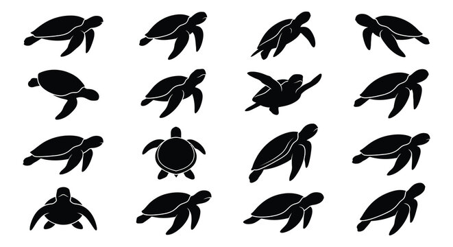 Collection of sea turtle silhouettes on a white background