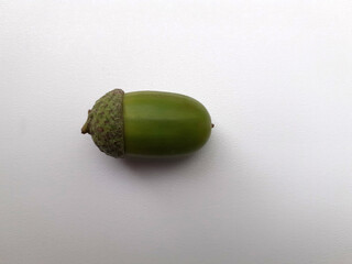 Green Acorn with Textured Cap Isolated. The oak fruit lies on a white surface. Horizontal photo. © Gebbi Mur