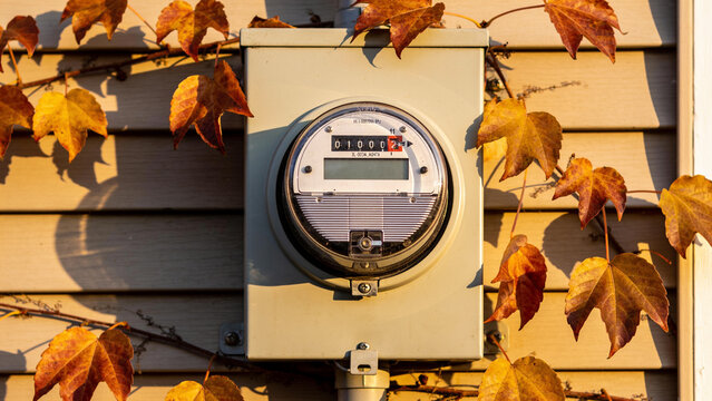 Electricity meter box on a house wall with autumn leaves