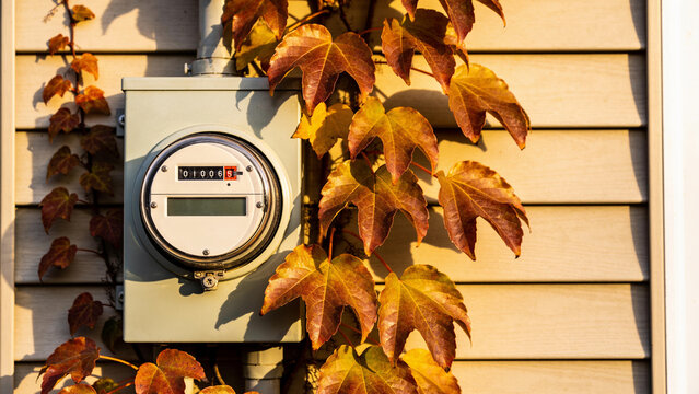 Home electric meter on an exterior wall in autumn light