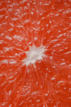 close up of red grapefruit. Red grapefruit pulp texture fresh juicy close up. fresh red grapefruit slices ,rotation in circle. pieces of grapefruit Turning. selective focus. citrus background