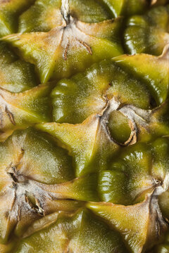closeup of pineapple fruit. Pineapple pattern. Summer concept. Texture of pineapple skin. Patterned fruits background.