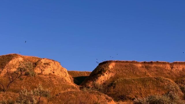 Natural soil erosion patterns on clay mountain slope in sunlight. Perfect for commercial ads, background, documentaries and cinema.