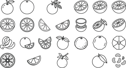 Obraz premium Set of citrus fruit