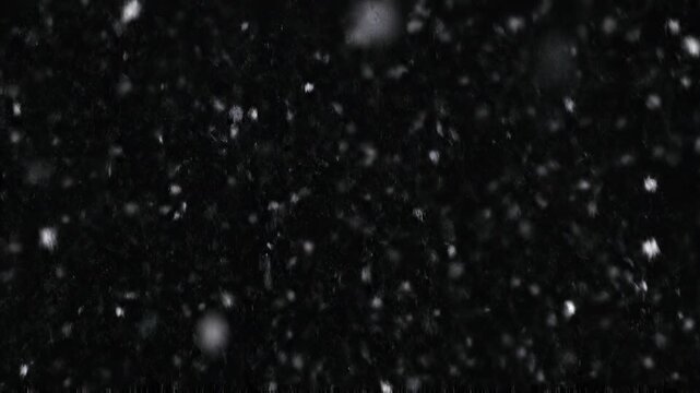 Gentle snowfall in cinematic motion against a dark winter night sky for festive holiday themes