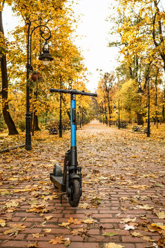 Electric scooter parked on a brick path covered in autumn leaves in a park