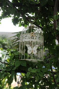 decora&ccedil;&atilde;o borboleta no jardim com plantas 