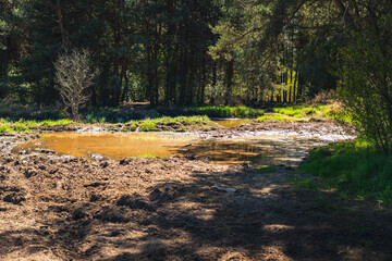 an off-road track for motocross or quad bikes, with puddles and mud © michal812
