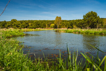 the landscape of the vast Kamienna River valley in Poland © michal812
