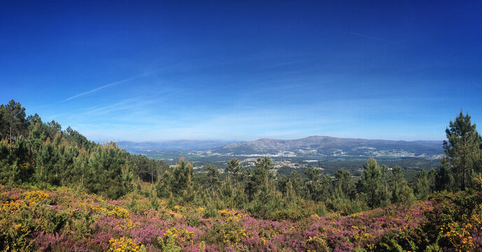 O Baixo Mi&ntilde;o, Galicia, Spain, April 2019