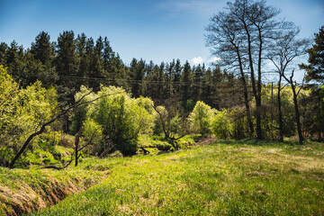 the landscape of the Kamienna River valley in the Świętokrzyskie Voivodeship in Poland © michal812