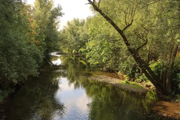 Sommer im Ruhrtal, die Ruhr in Arnsberg © holger.l.berlin