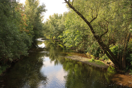 Sommer im Ruhrtal, die Ruhr in Arnsberg