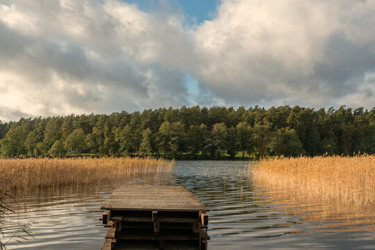 A picturesque landscape featuring a lake surrounded by forest and a belt of reeds, with a wooden pier in the foreground under a cloudy sky