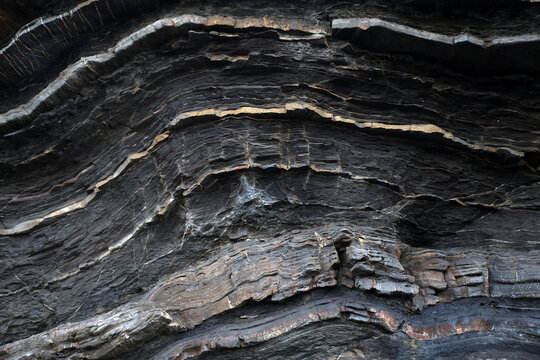 Black Flysch with Thin-Bedded Turbidite Sandstone Layers Near Deba, Spain