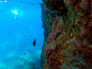 Underwater Cave with School of Fish and Sunlight Beams in Blue Ocean © antonella