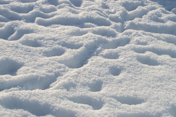 Texture of snow cover with wavy drifts closeup in winter © Iryna