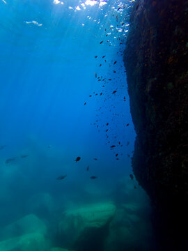 Underwater Cave with School of Fish and Sunlight Beams in Blue Ocean