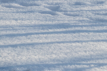 Tree shadows on sparkling snow cover with parallel drift lines in winter © Larysa