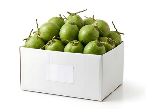 Fresh green avocados in a box