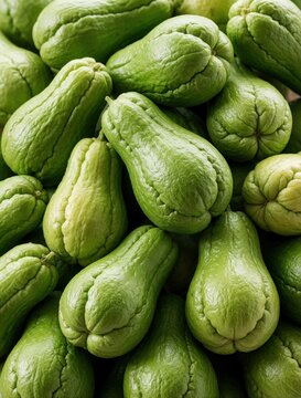 Pile of fresh chayote squash, bright green gourds with ribbed skin. Pear shaped vegetables are ready for cooking ingredient, raw healthy food.