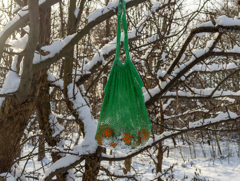 Green reusable cotton mesh bag filled with fresh mandarins hangs from a snow-covered tree branch in a winter forest. Bright citrus fruit contrasts with white snow, creating a strong concept for sustai