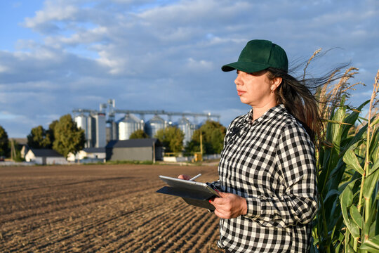 Agricultural professional using tablet in cornfield with modern grain storage facility, smart farming and crop management concept. Copy space. 