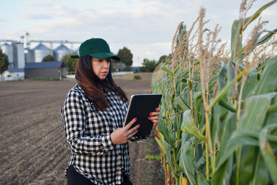 Agricultural professional using tablet in cornfield with modern grain storage facility, smart farming and crop management concept.