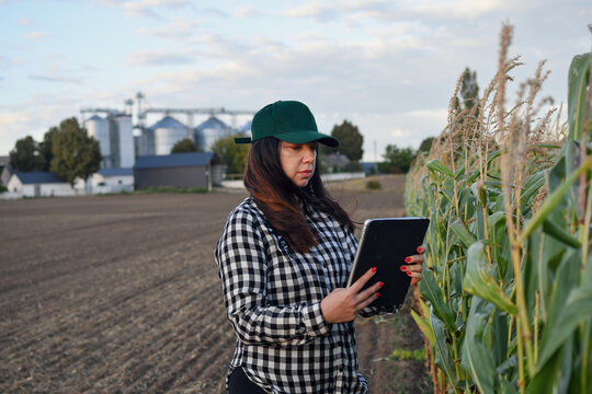 Agricultural professional using tablet in cornfield with modern grain storage facility, smart farming and crop management concept.