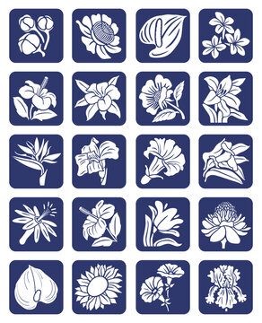 Hand drawn images of a tropical exotic flowers  doodle seamless pattern set. Background vector collection in vintage art style.