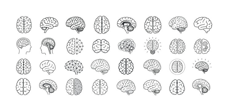 Collection of stylized brain icons showing different views and concepts
