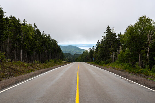 Paved highway stretching through dense evergreen forests down toward scenic coastal views of the Bay of Fundy in Fundy National Park, New Brunswick.