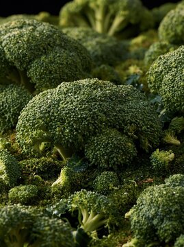 Close-up of a group of fresh broccoli florets. the broccoli is a vibrant green color and appears to be healthy and well-maintained.